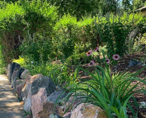 Landscaping And Boulders Landscaping Boulders Native Plants Sunnyside Denver CO
