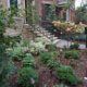 Front Plantings Wrought Iron Fence Denver CO
