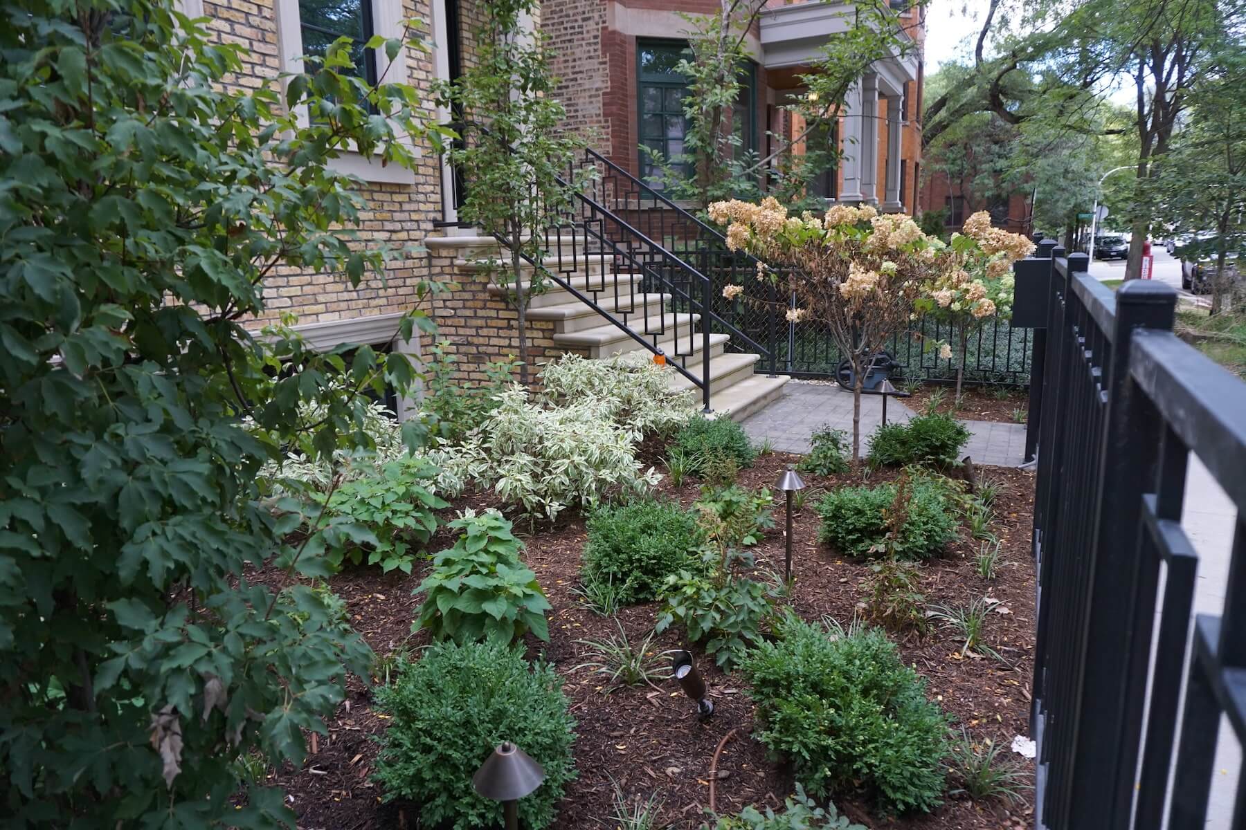 Front Plantings Wrought Iron Fence Denver CO