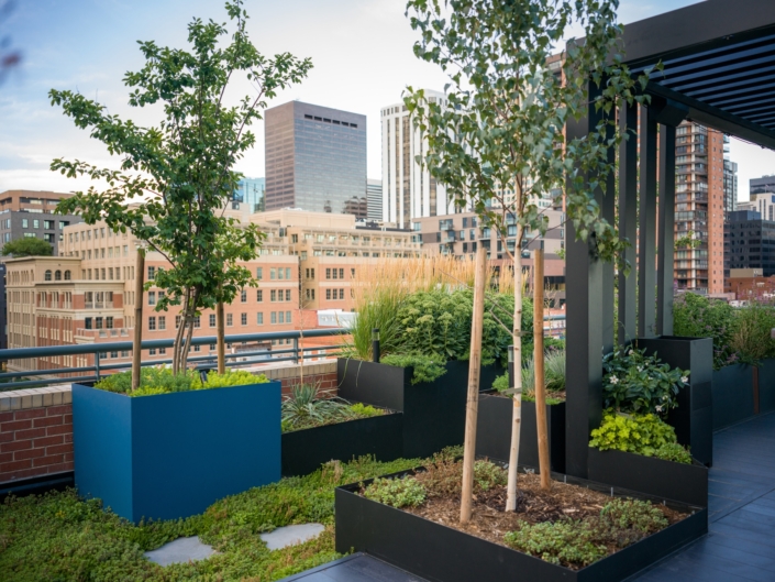 Garden Landscaping denver
