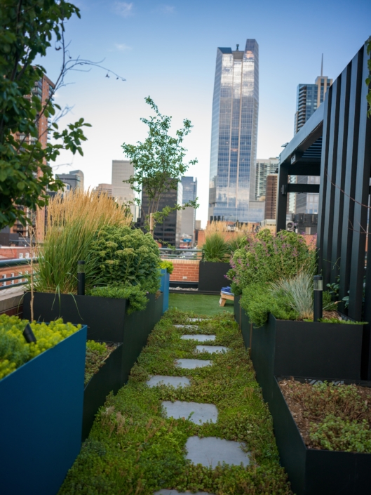 garden view of the city denver