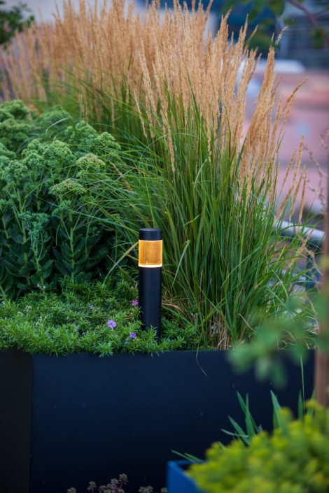 landscape lighting denver