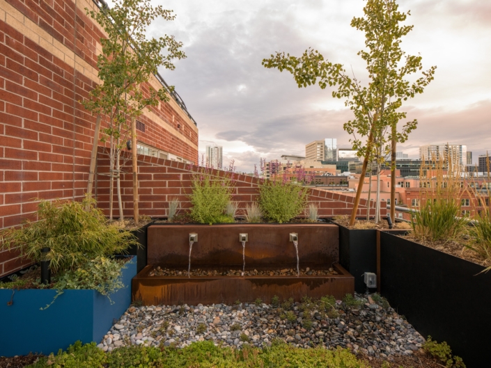 Water Feature Denver
