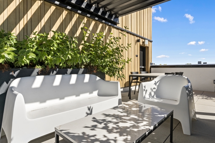 Drought Resistant Plants custom outdoor furniture downtown denver