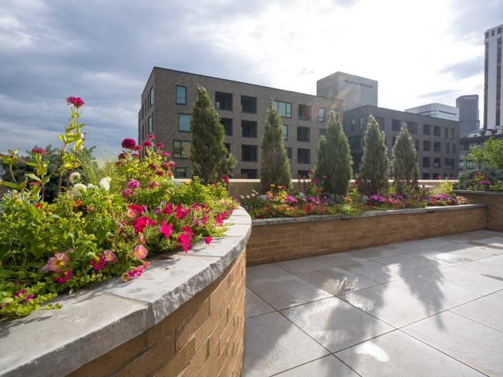 built-in rooftop planters in lodo denver