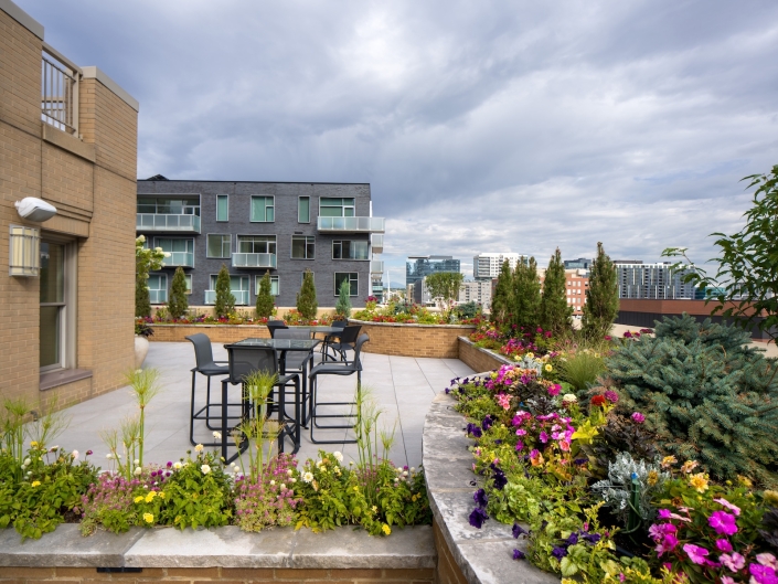 porcelain paver rooftop deck planters denver